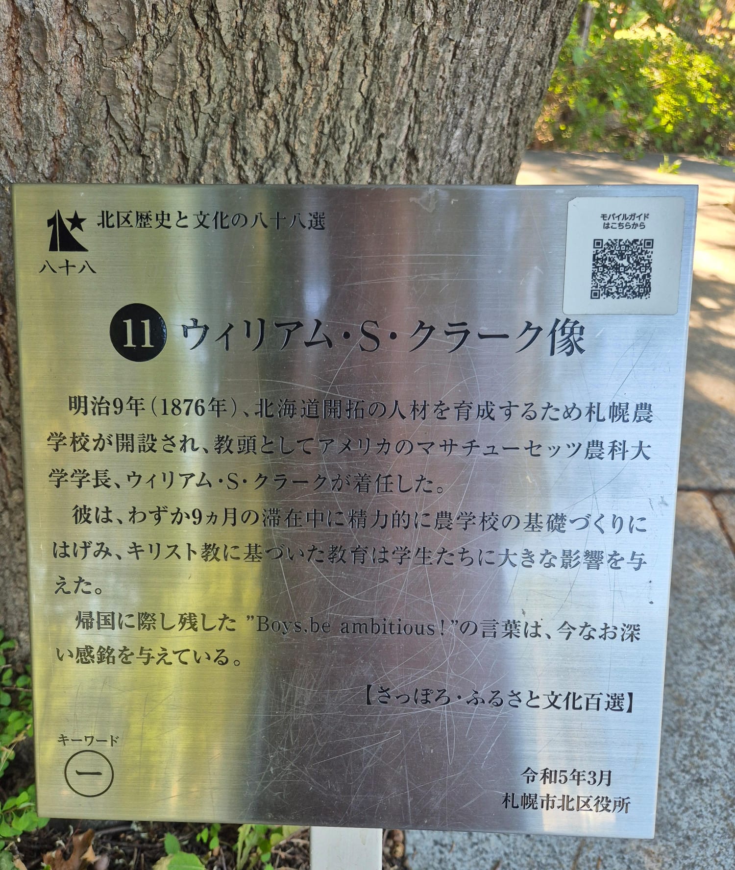 Description of the image